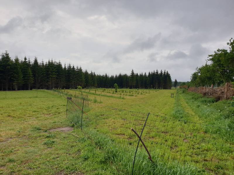 20220522_093139 __k.jpg